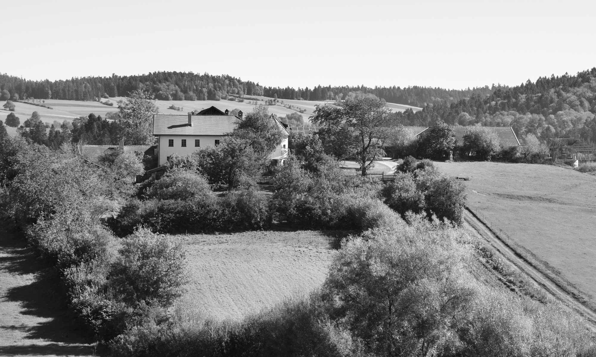 Blick auf den Bergwinklhof